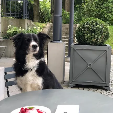 Palac Ojrzanow - Gasthof *